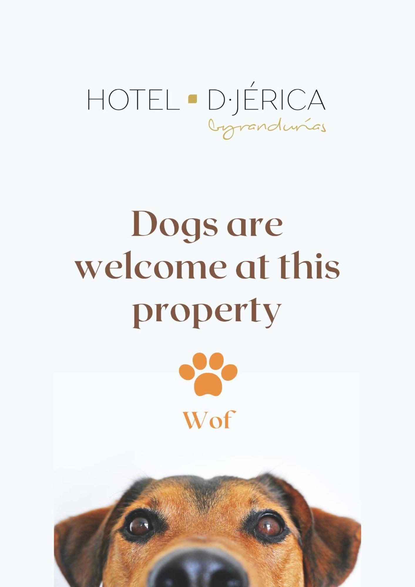 Hotel De Jerica Bagian luar foto